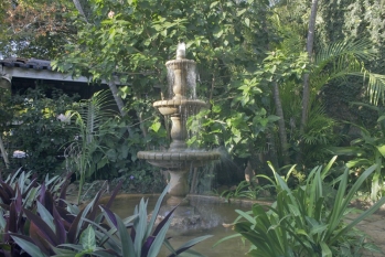 [Espaço Fotográfico com Área Verde]