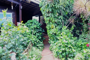 [Espaço para Fotos Local Rústico - A Cabana]
