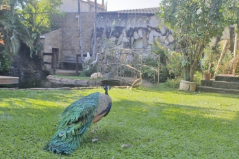 [Espaço para Fotos de Casamento]