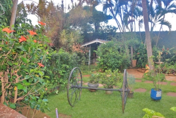 [Espaço com Natureza para Fotos]