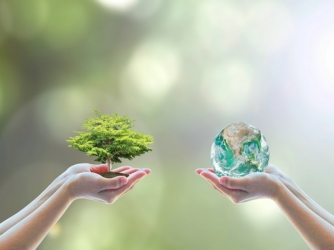 Entulhos e Meio Ambiente