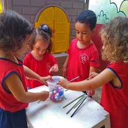 [EDUCAÇÃO INFANTIL]