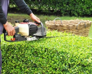 Manutenção de Jardins em Condomínios e Empresas