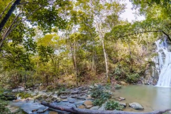 [FAZENDA BONSUCESSO]