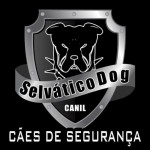 Logomarca