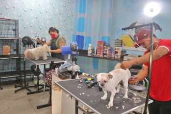 [Banho e Tosa]