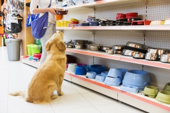 [Pet Shop em Goiânia]