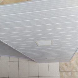 [Forro PVC Branco Germinado]