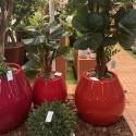 [VASOS DE PLANTAS ALTO PADRÃO]