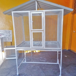 [Pinteiro em Goiânia]
