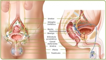 Biópsia Transretal Prostática