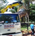 [Locação de Caminhão Munck Goiânia]